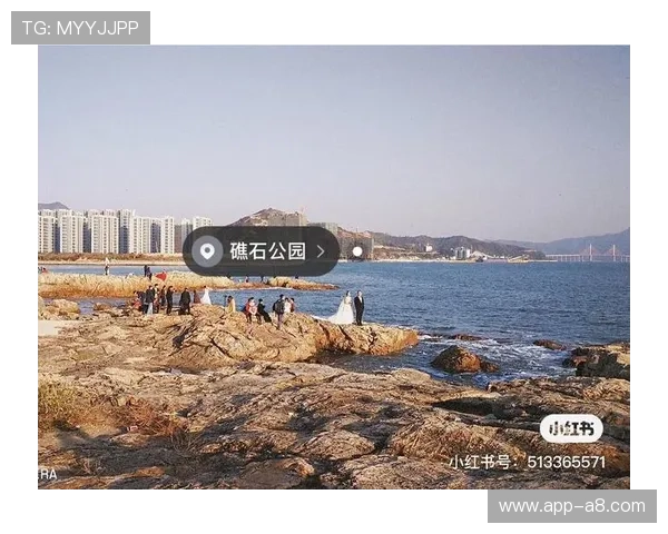 游艇会平台会员制度优化方案：提升用户体验与会员粘性的有效方法